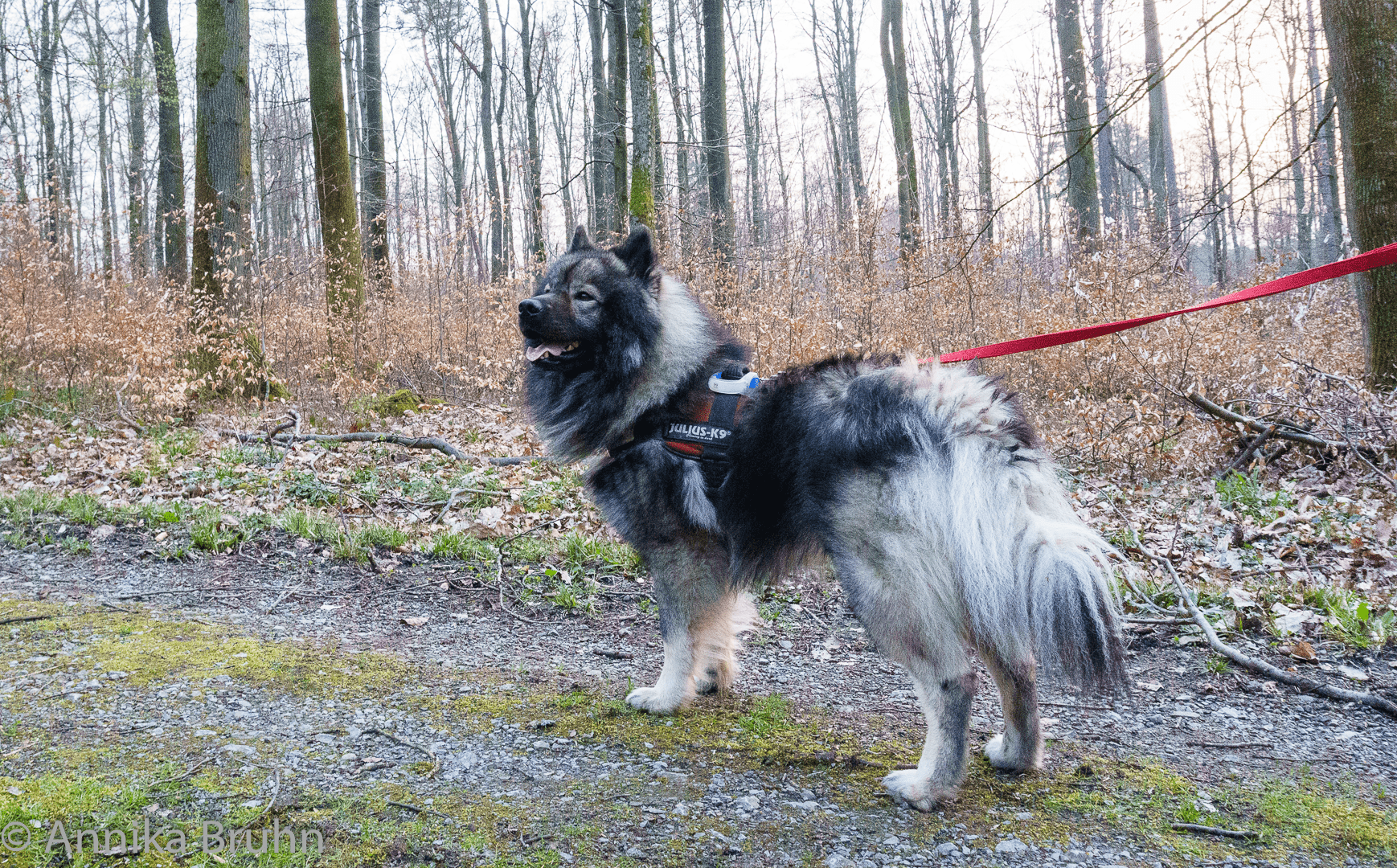 Q ist angespannt